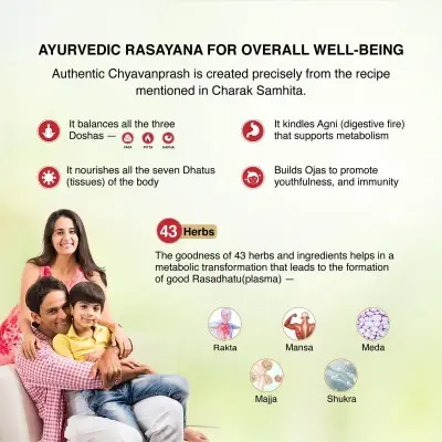 Чаванпраш / Chyawanprash - Махариши Аюрведа- 500 гр